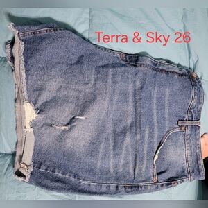 Terra & Sky Distressed Blue Denim Shorts